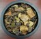 Sandalwood Potpourri 8oz Bag made with Fragrant/Essential Oils HandMade FREE SHIPPING | House Warming Gift | Earthy Potpourri | BirthdayGift